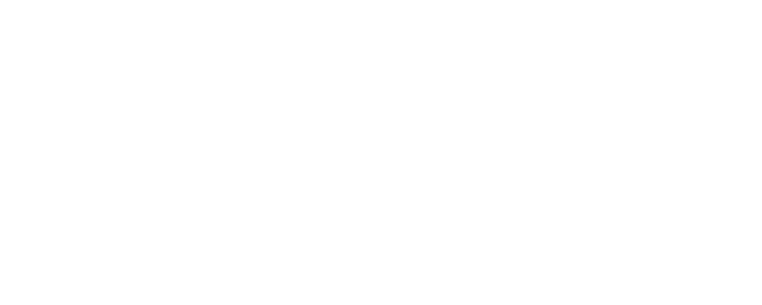 SEZ Consulting